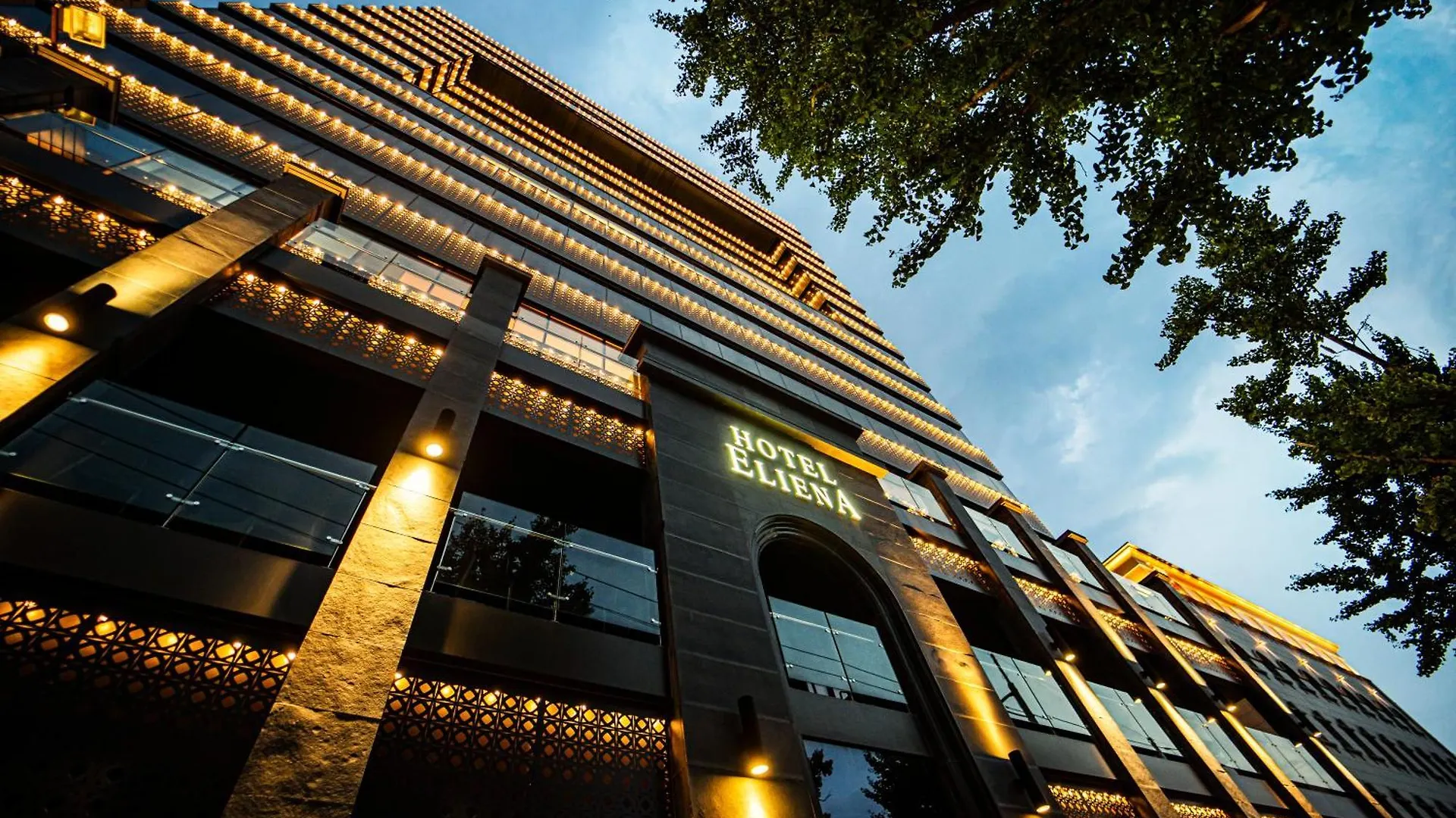 Eliena Hotel Seoul Gangnam
