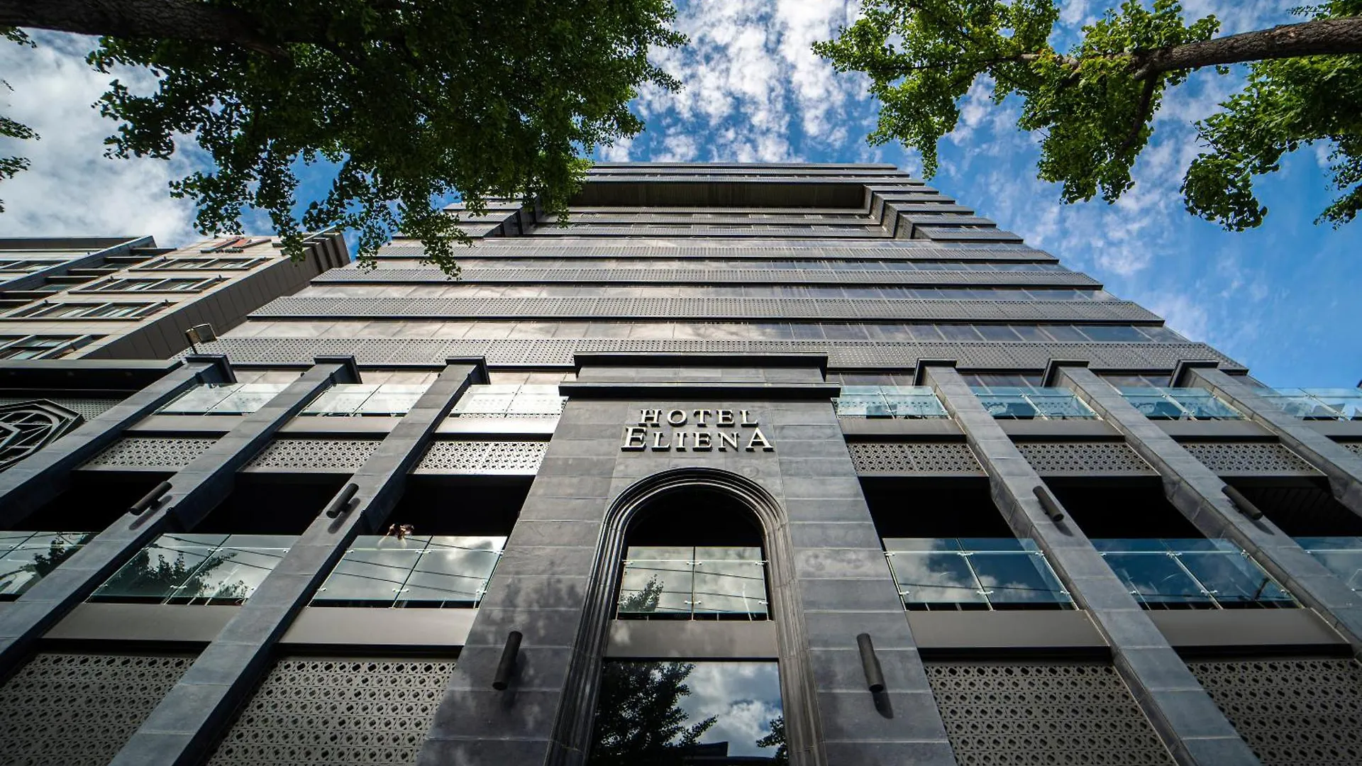 Eliena Hotel Seoul Gangnam 4*,