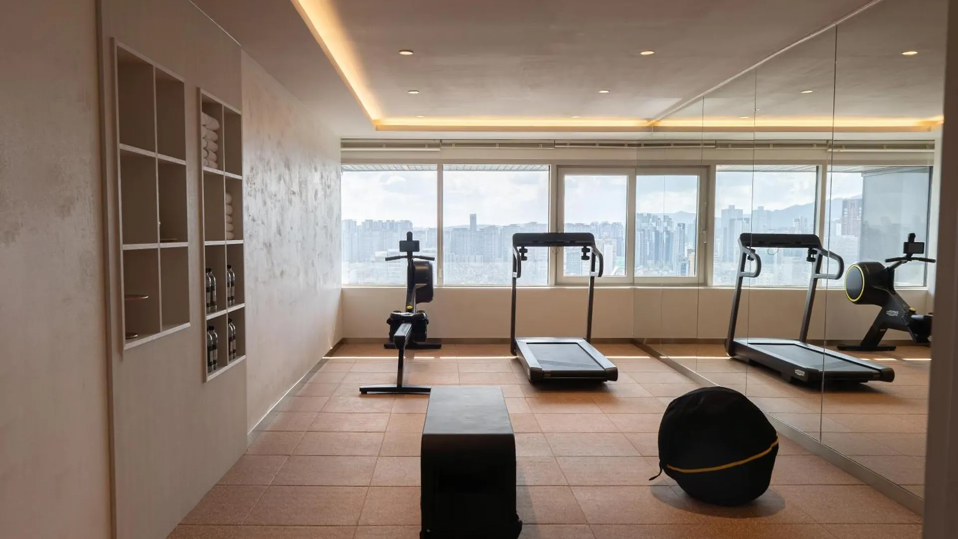 Eliena Hotel Seoul Gangnam South Korea